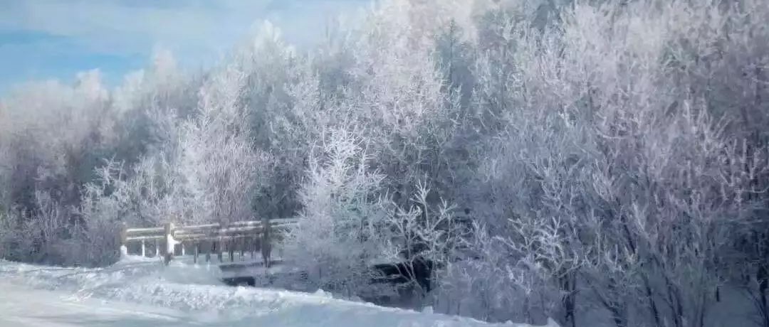 奕行記|奕路向北，駛向雪國阿爾山